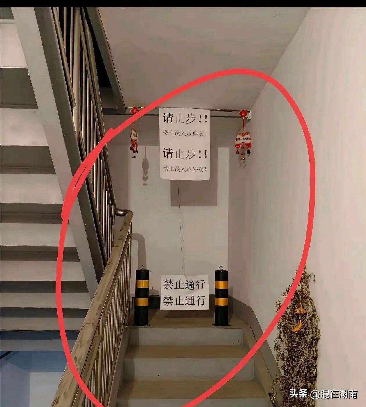 天啊，我们家楼上住的是什么人家，这样的人家给你做邻居，你害怕不？