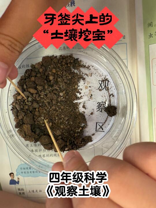 这是学生接触的第一个【微型生态系统】！