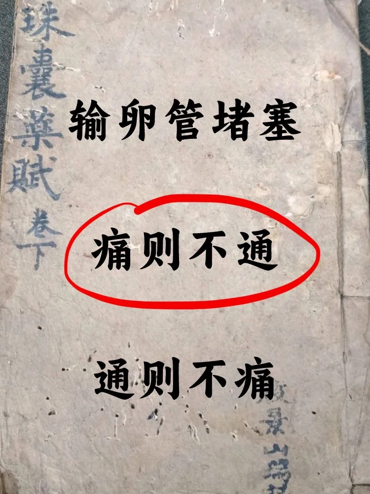 输卵管堵塞，痛则不通，通则不痛❗