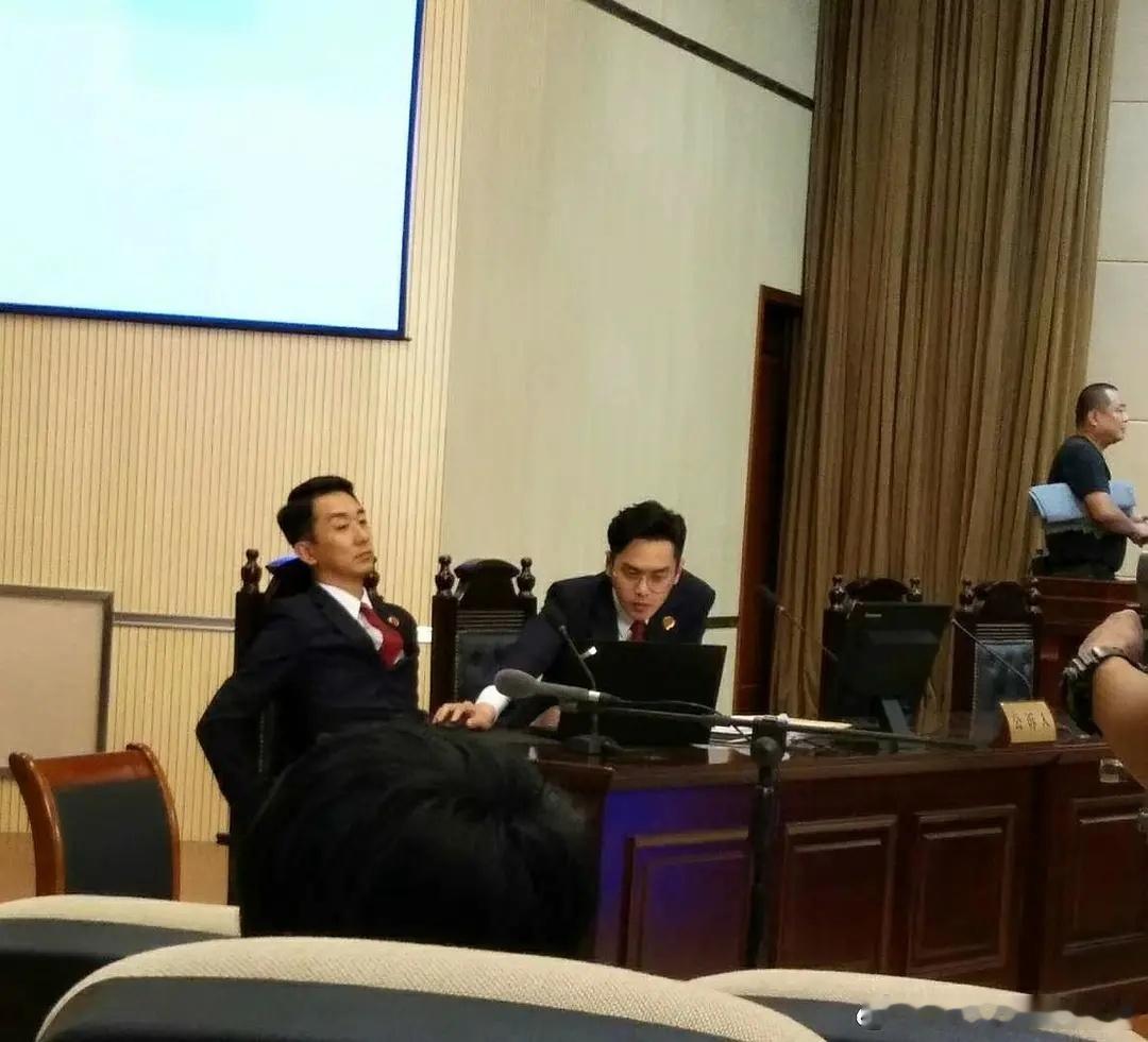 唉，每次看到有检察官的剧开播，我都要哀叹一次，老子的《完美证据》啊！我的荀检！路