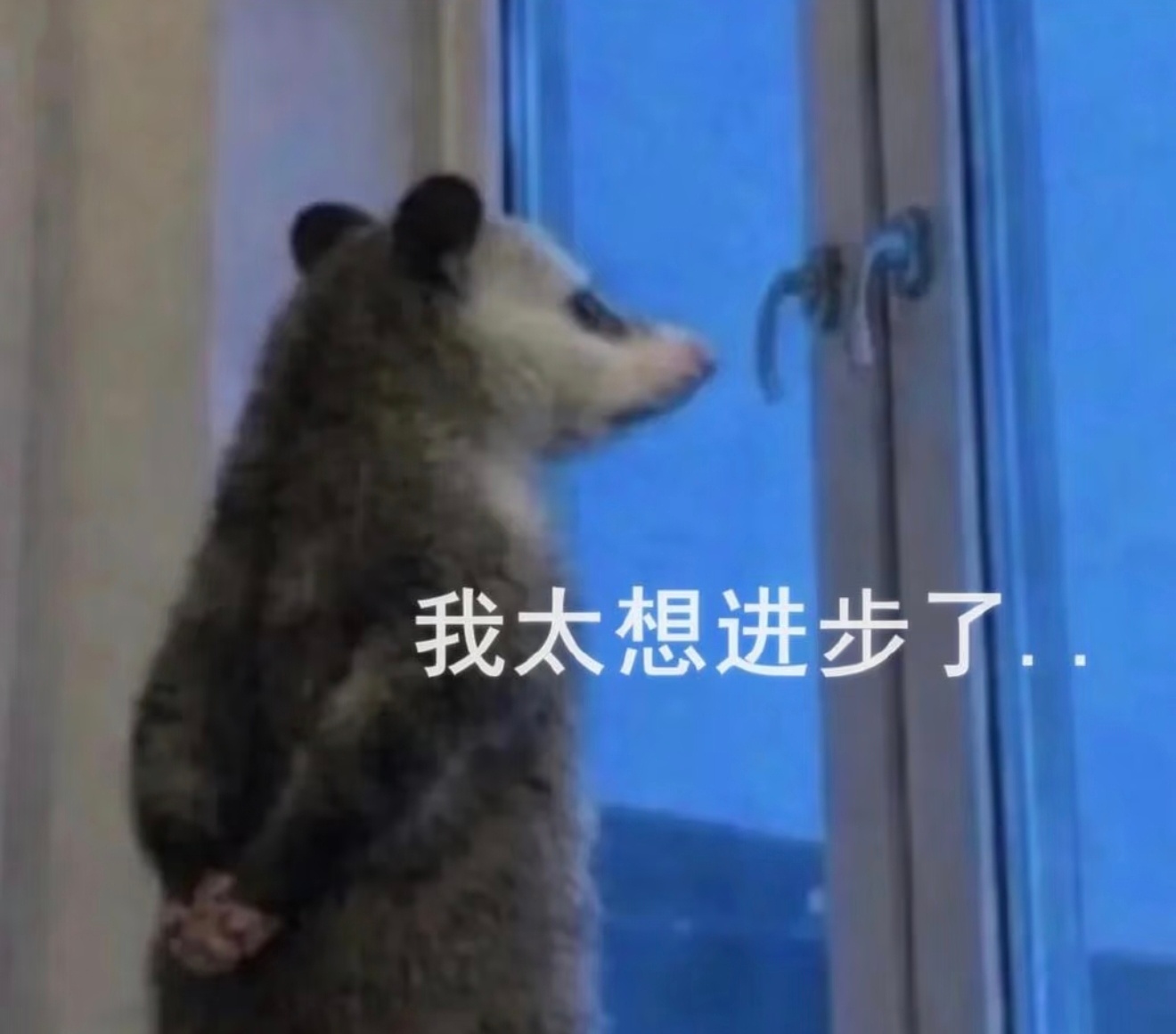 学习通崩了意识到自己老登了…请问学习通是什么？[doge] ​​​