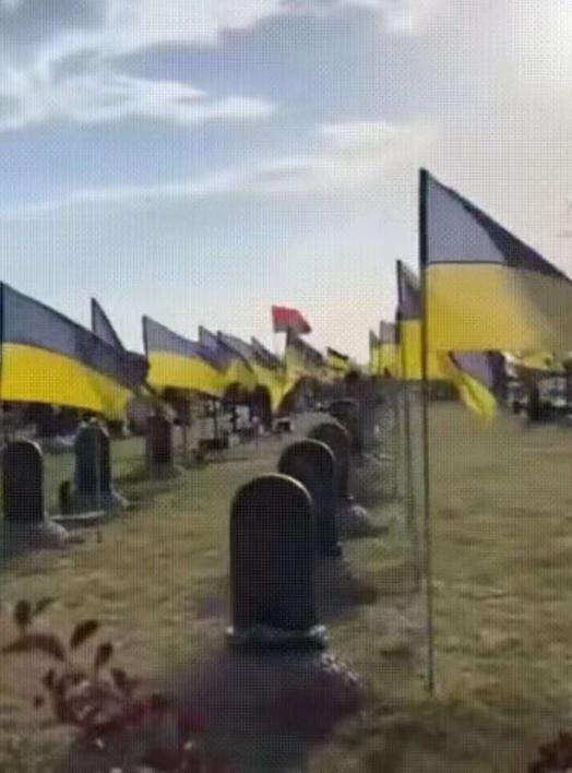 红军城战场清理开始！俄军遗体回收队发现惊人比例，乌军阵亡者中外国面孔超三成，个别