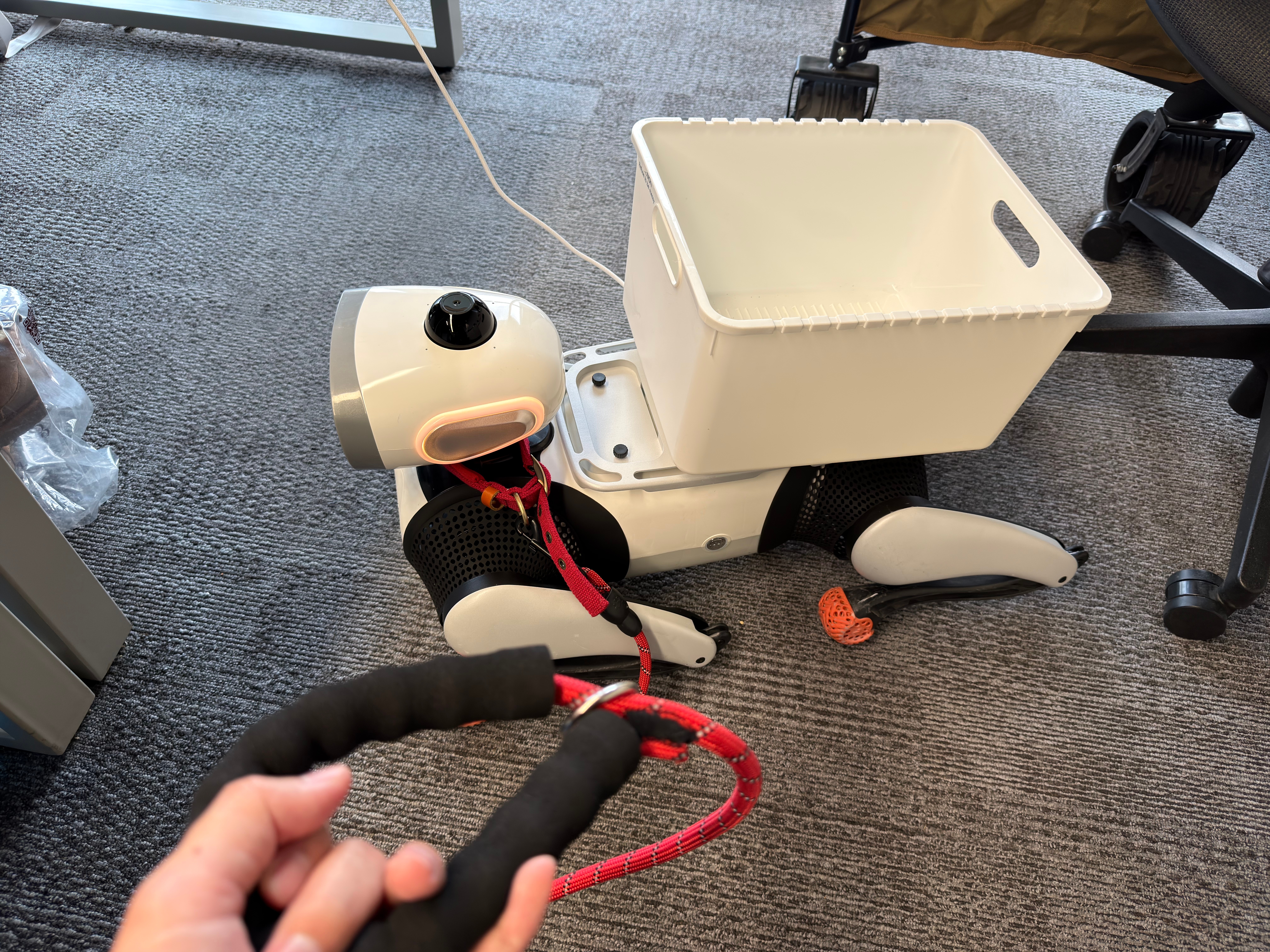 期待一下智能机器狗第一次升级后的改进，大家想看什么我继续测Vbot超能机器狗 V