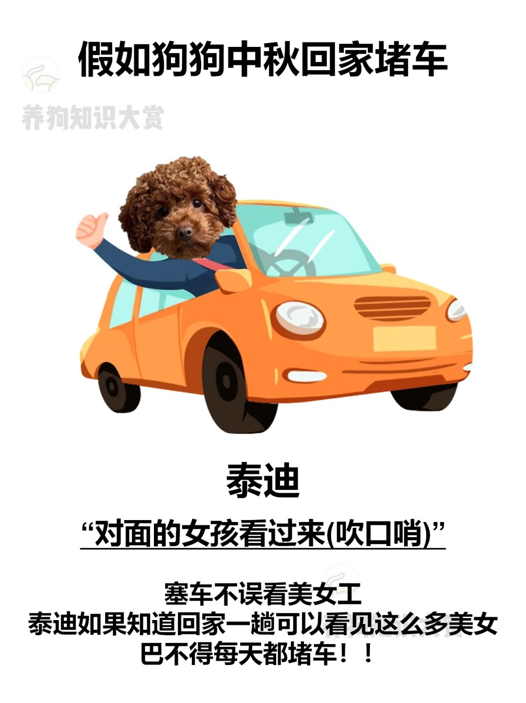 不同狗狗遇上中秋回家堵车表现🚗