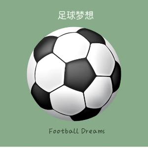 文文的足球梦