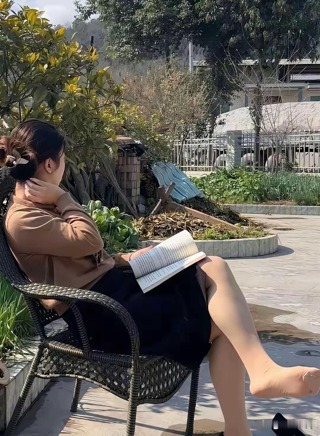 罚款