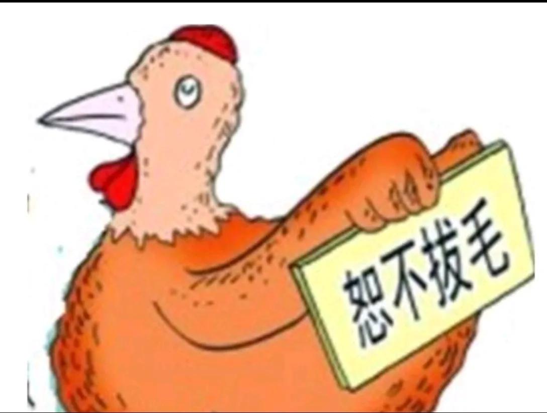 我徒弟看中了我儿子

我儿子现在结婚了，我都当奶奶了，我徒弟也不用惦记了。

徒