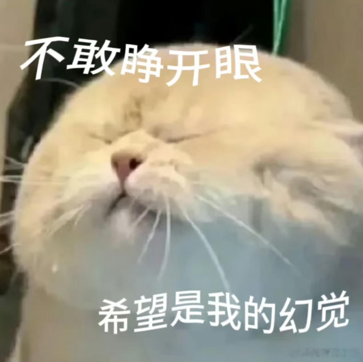 身份证照片最接近别人看到的自己真的假的？我一直以为镜子里的自己是最真实的，没想到