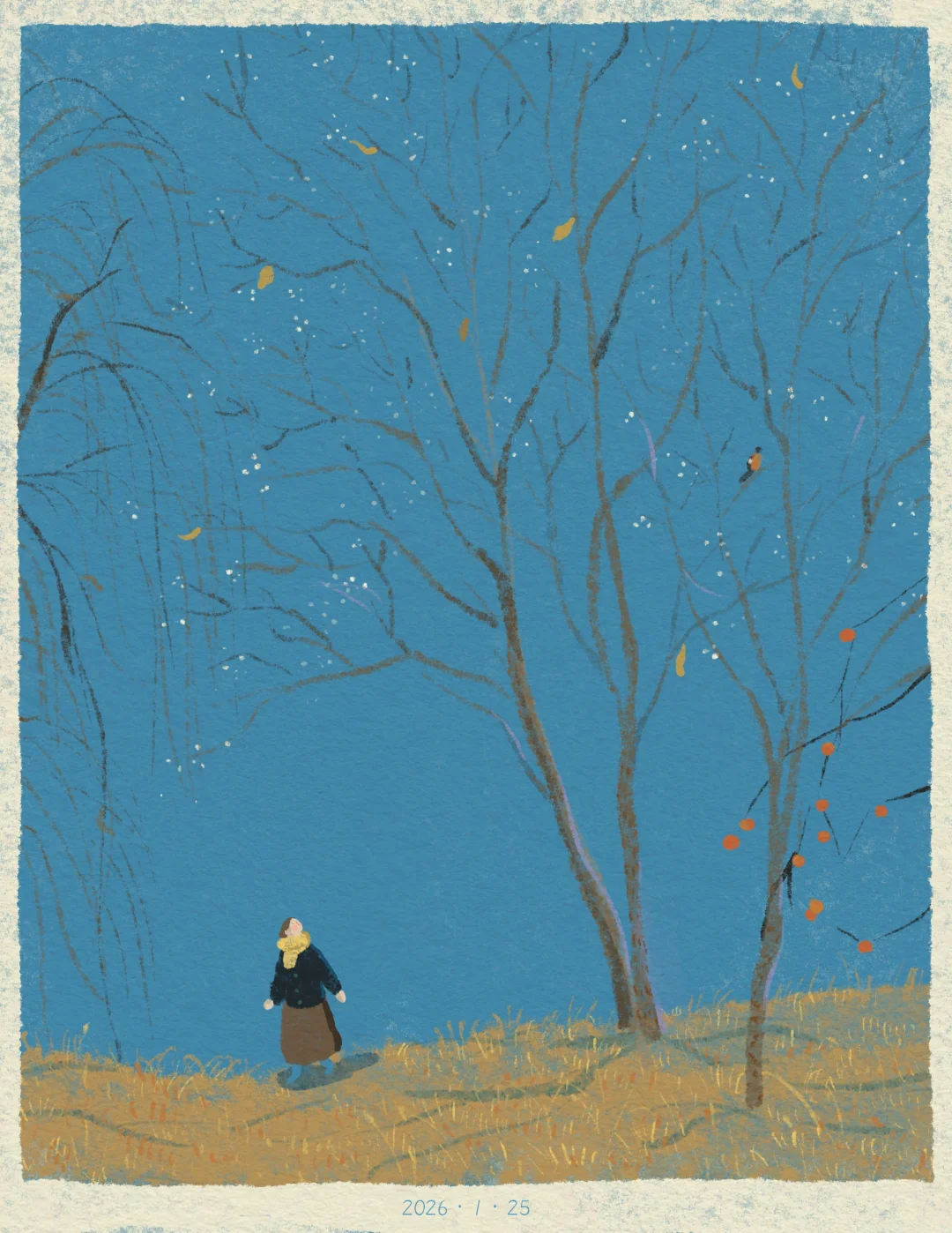 趁阳光好的时候🪞