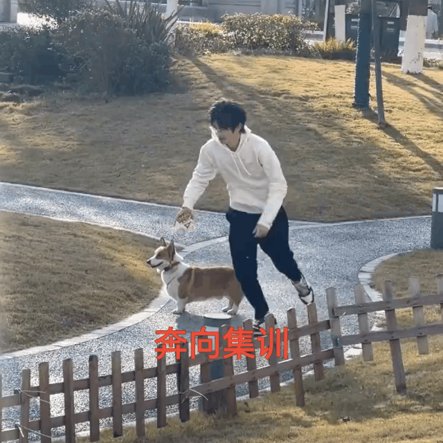 心情是只想： 