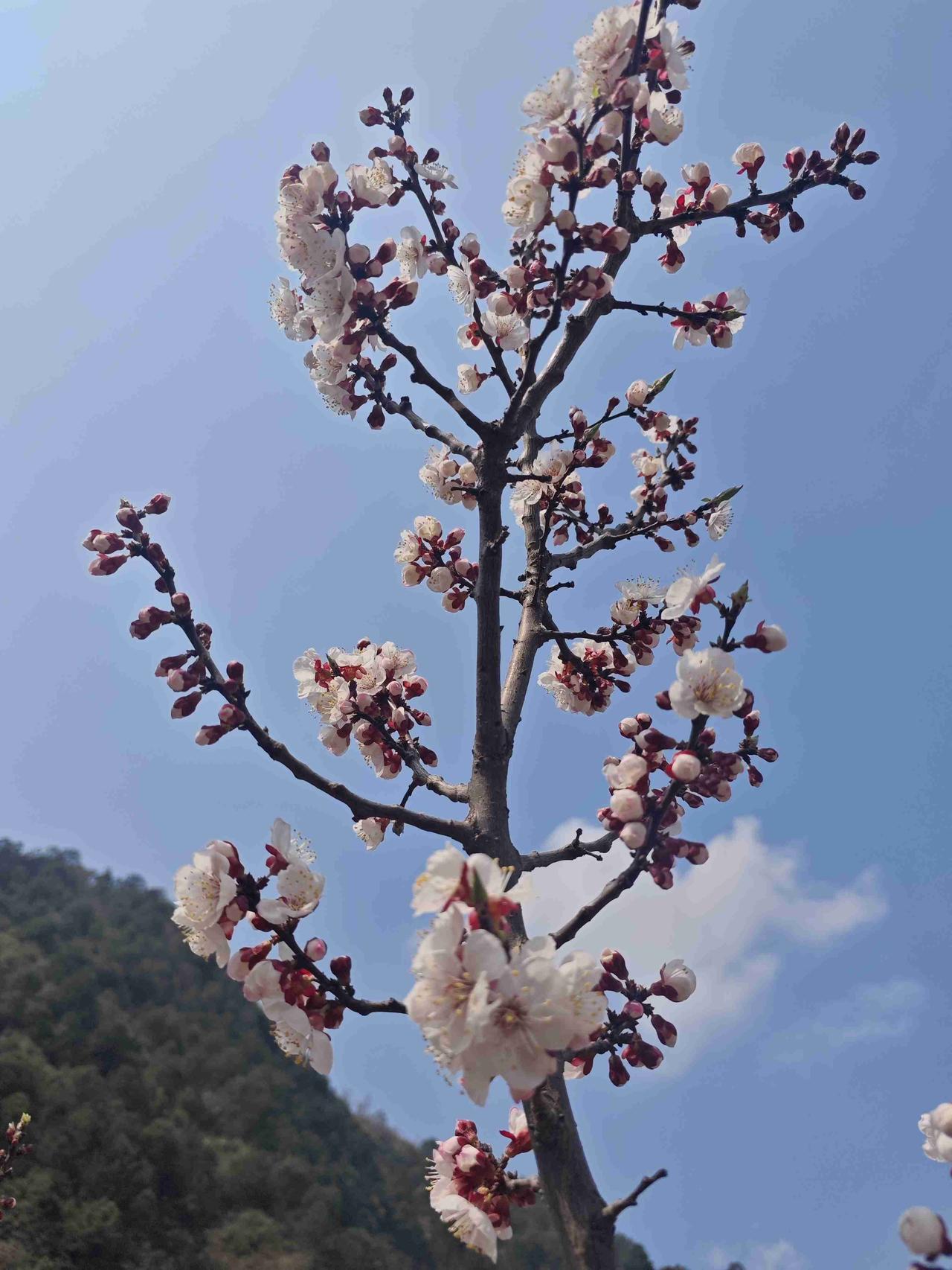 我的今日状态：💰期待暴富
我这里的天气：☀️晴天