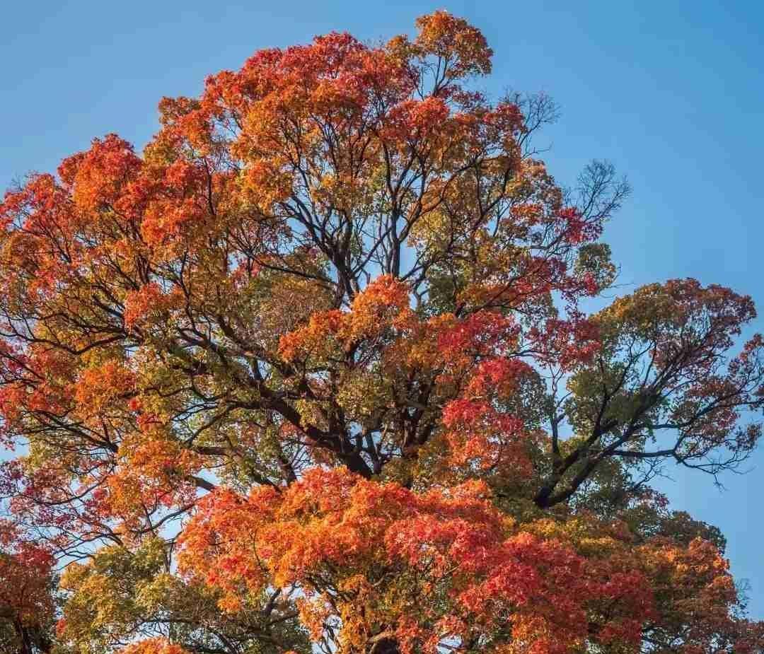 我的今日状态：😁轻松愉快
我这里的天气：☀️晴天