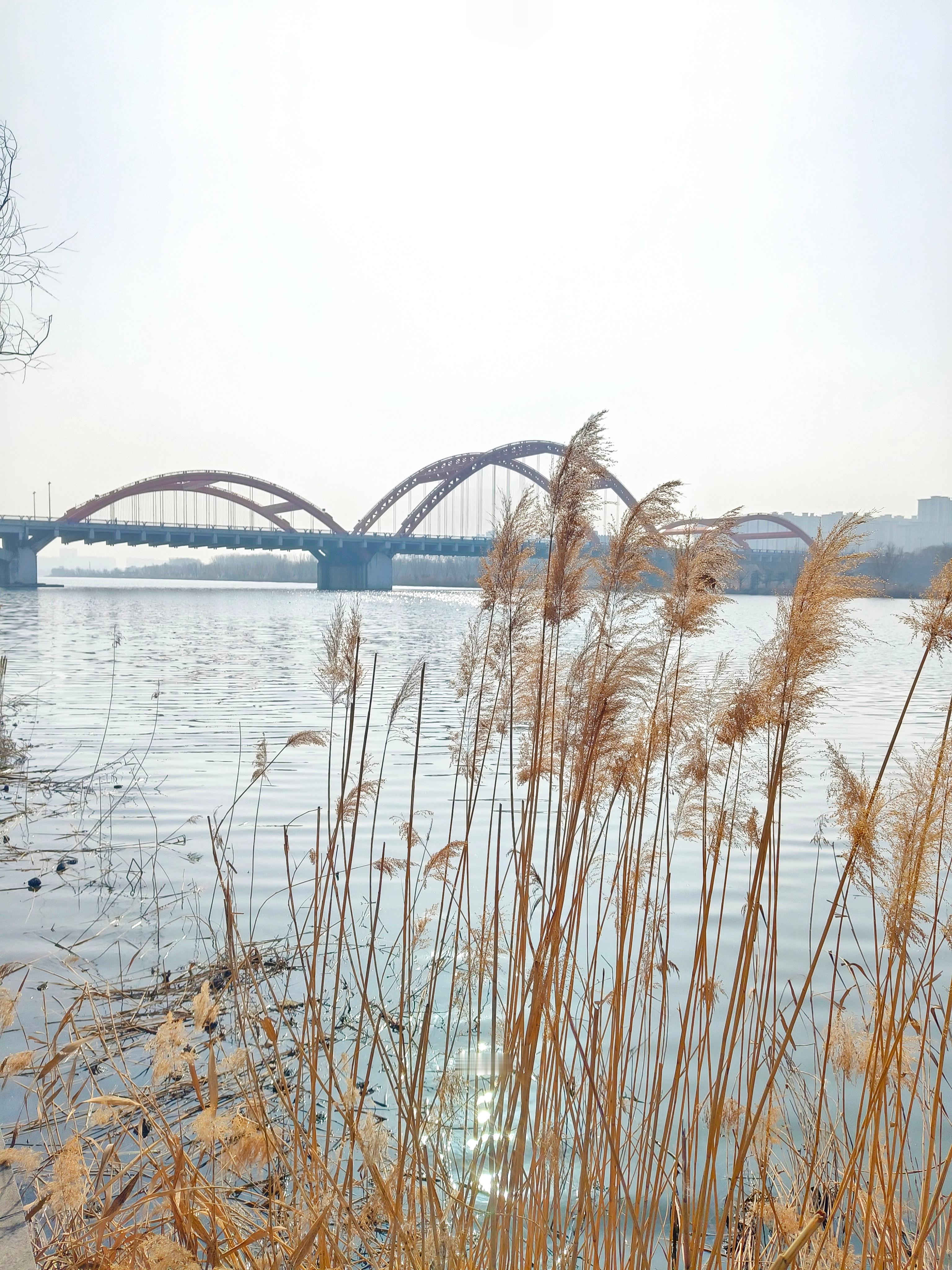 《临汾日记》今日踏足临汾，这座坐落在晋南、扼守秦晋之交的城，竟与我生出一种久违的