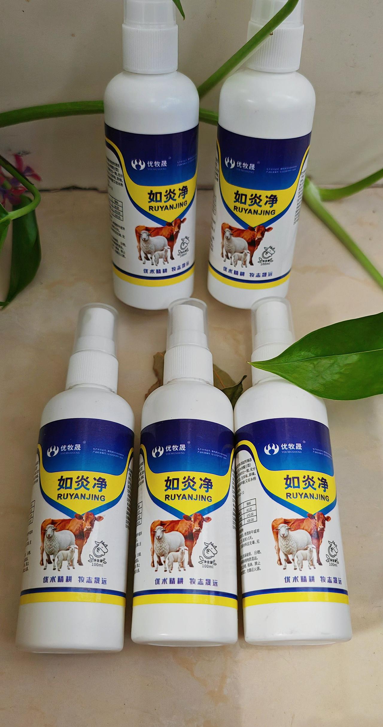 养羊人 牛羊养殖 农村养羊