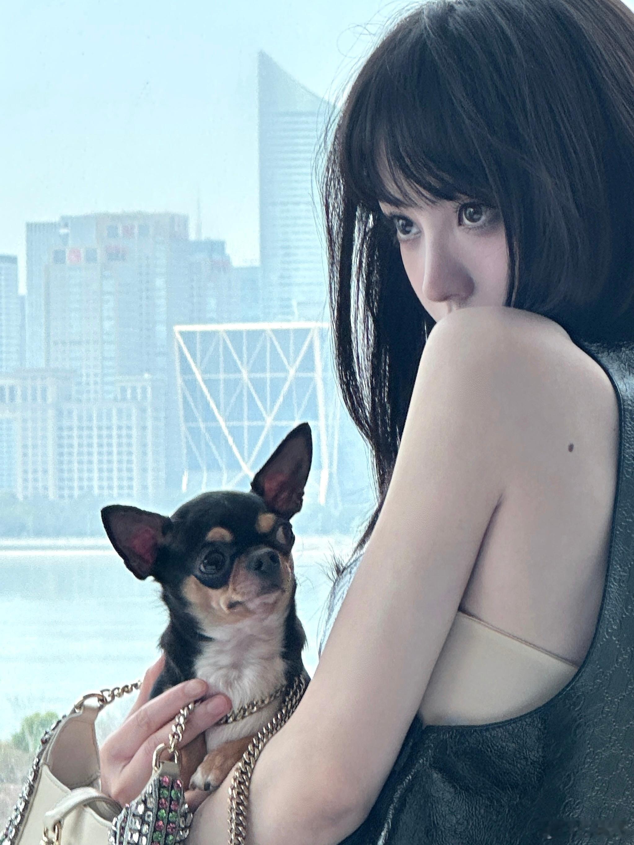 𝗰𝗮𝗻 𝗜 𝗯𝗲 𝘆𝗼𝘂𝗿 𝗱𝗼𝗴 