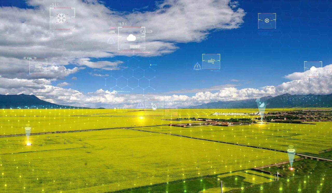 农业利器背后的隐患：涉外气象探测站被依法拆除