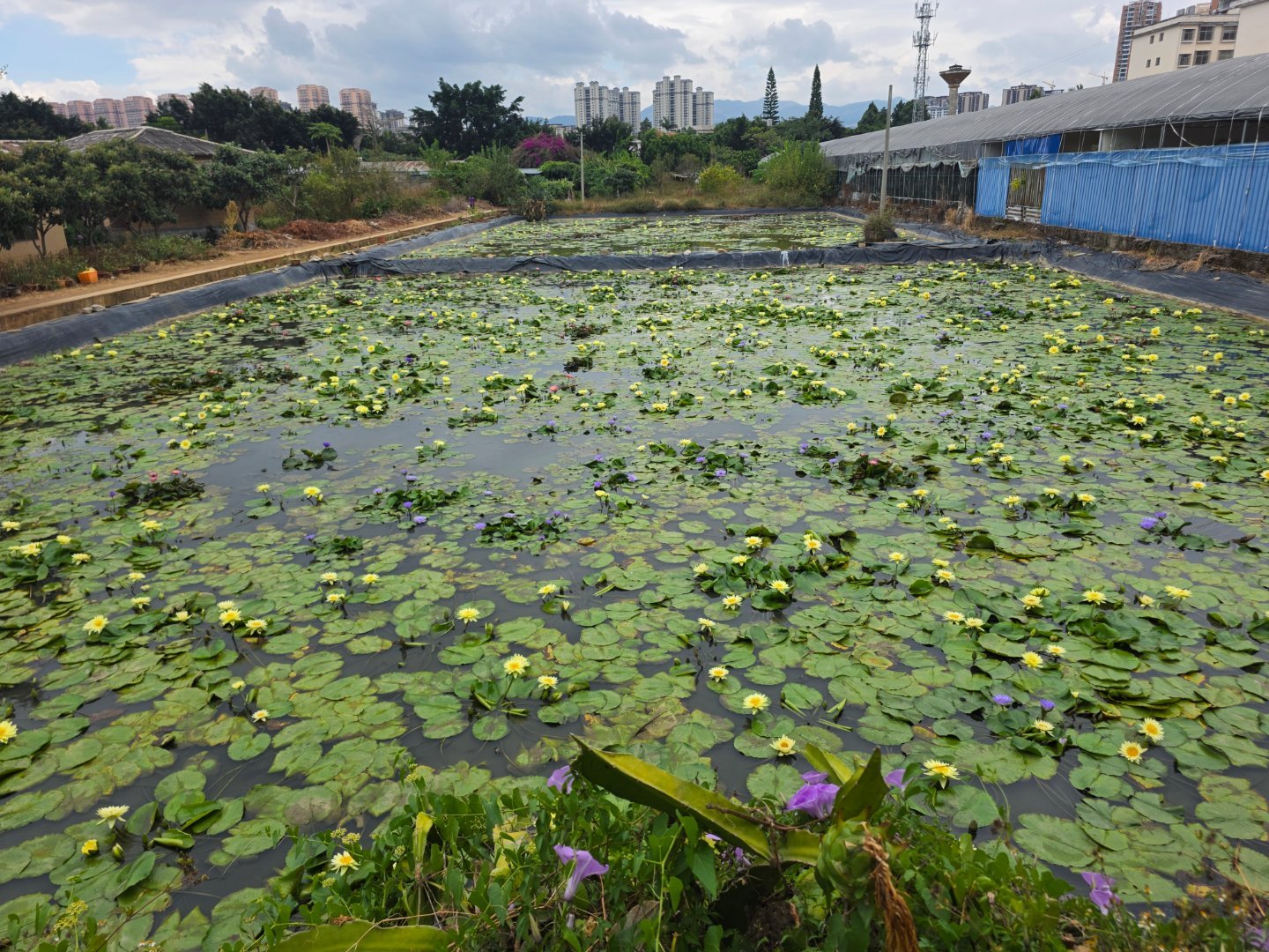 午饭 吃个农家菜云南旅游  ​​​