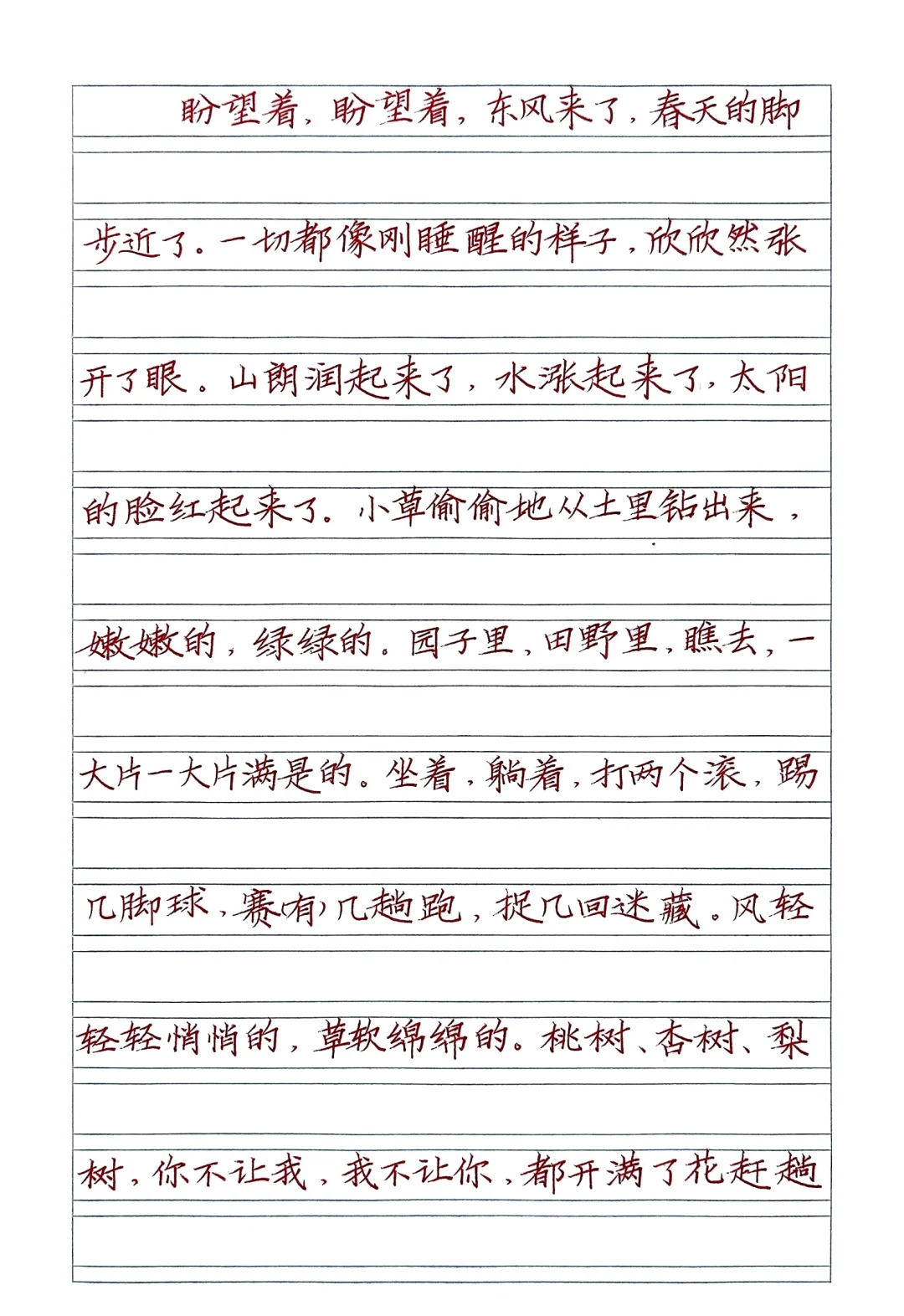 暑假是这样集训的