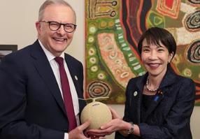 “高市早苗带了两个哈密瓜！”阿尔巴尼斯拿日本首相送的国礼开黄腔，还对着镜头在胸前