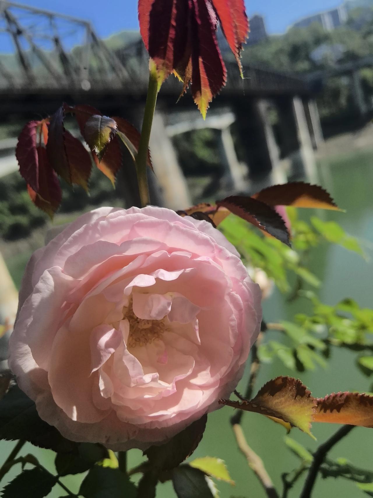 春日生活打卡季[庆祝][庆祝][庆祝]别人对你好，是你的福报；别人对你有亏欠，是