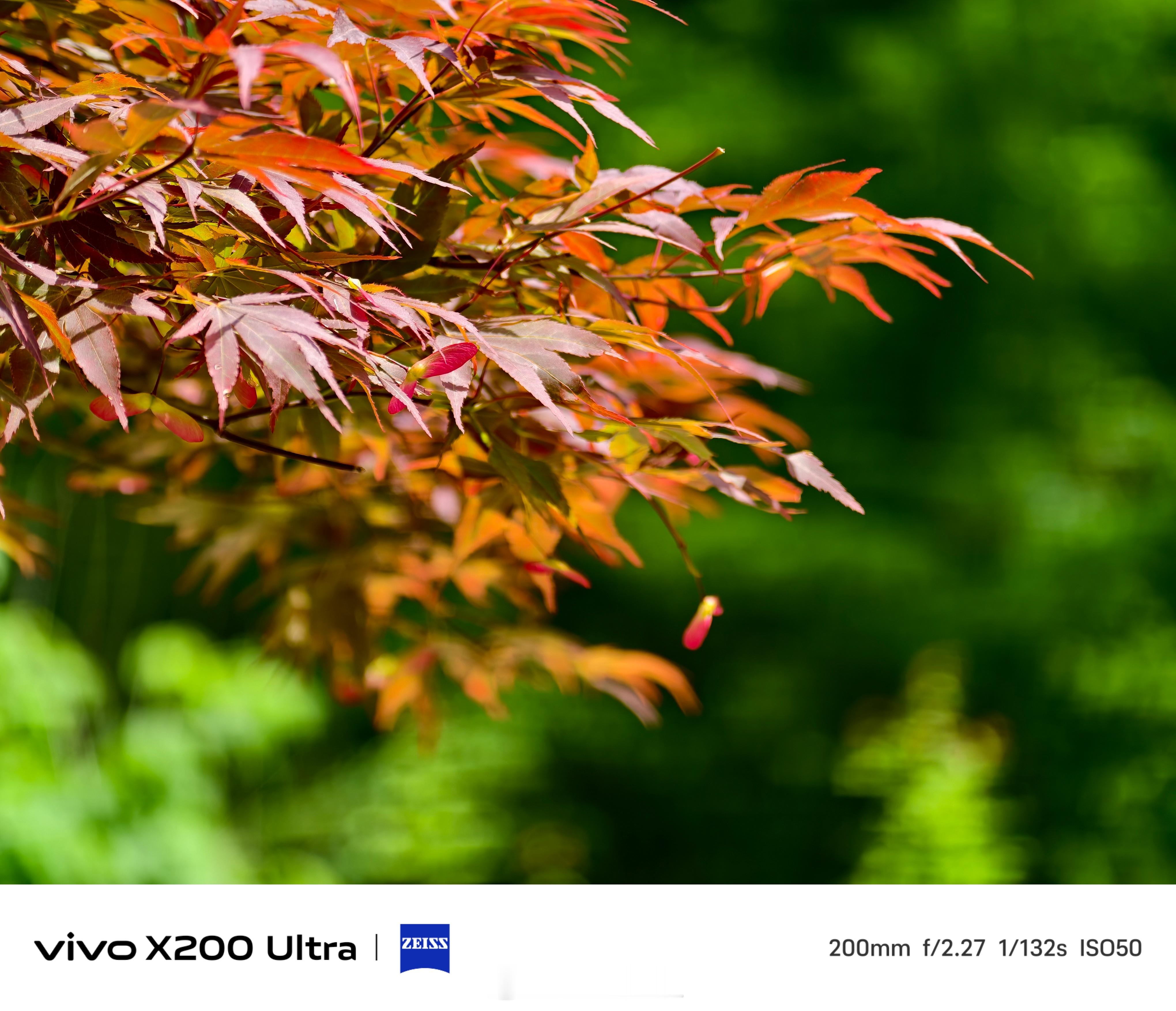 [苦涩]继续拿vivo  X200Ultra 瞎拍一下张家界国家森林公园，这手机