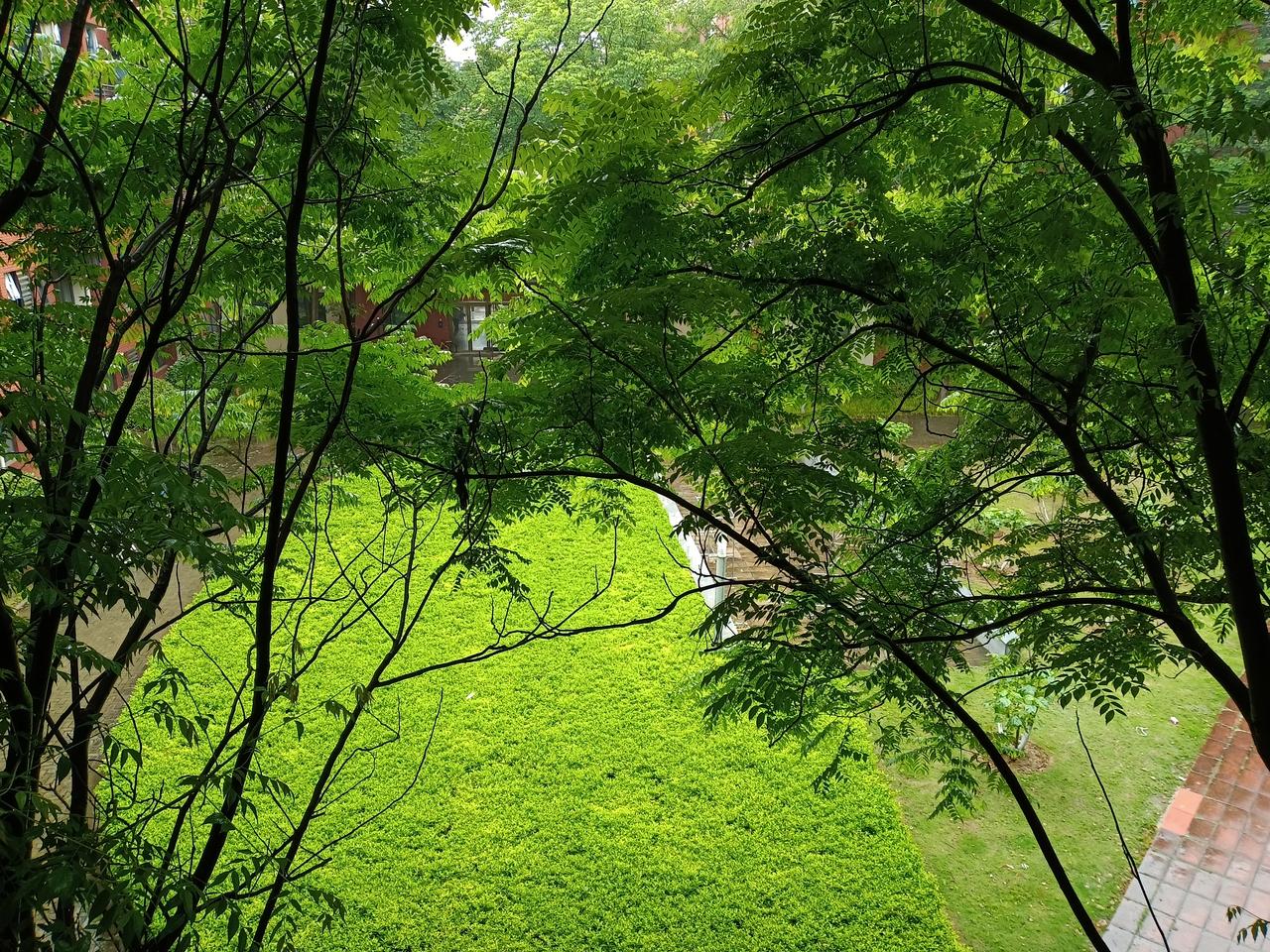 今天外面又下很大雨
出去也出去不了
太影响心情了
没事滴，吃点小零食[捂脸][捂
