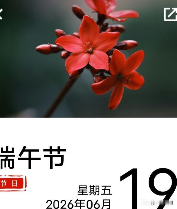 今天是端午节。早上起床，外面下着大雨，这场雨，对干旱的黄淮地区来说，是一场喜雨。