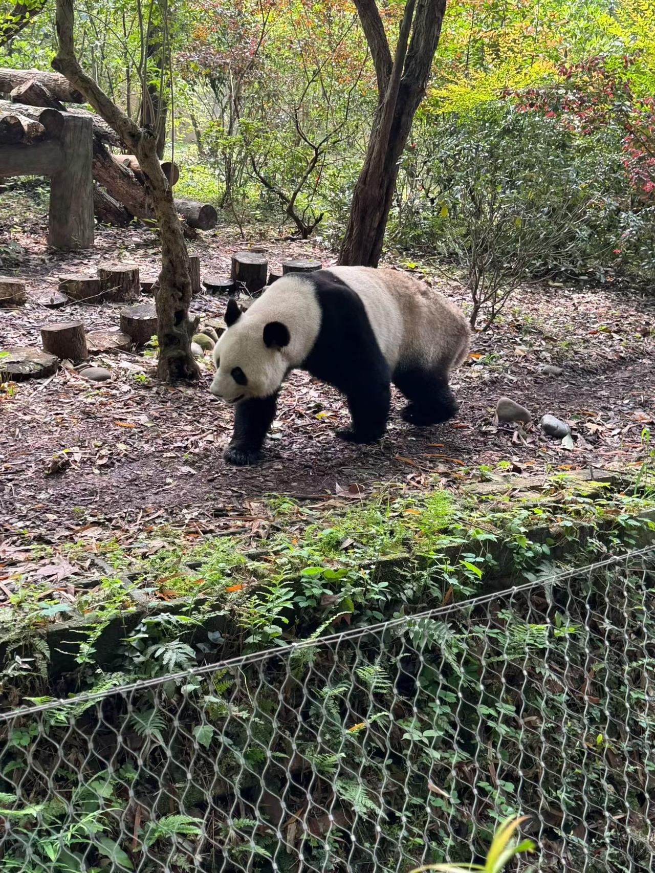 往后余生，学着把心放宽，看淡得失，包容对错；守住内心的安宁，本分做人，踏实做事。