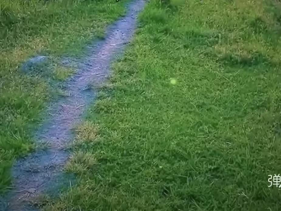 小路
风将岁月刻成痕，
夕照关山踏陌尘。
谢尽春华芳草绿，
年年还等望乡人。