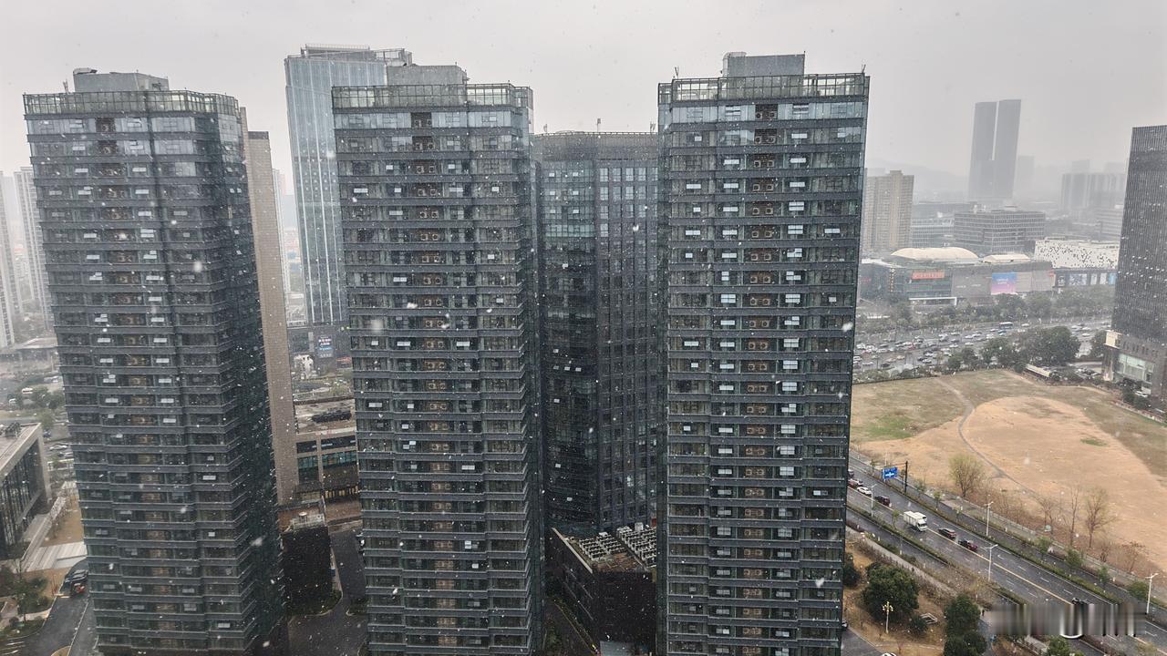 今日大寒，杭州飘起了雪花。
大寒，在北方，是要吃饺子的。可是不知道为什么，来杭州