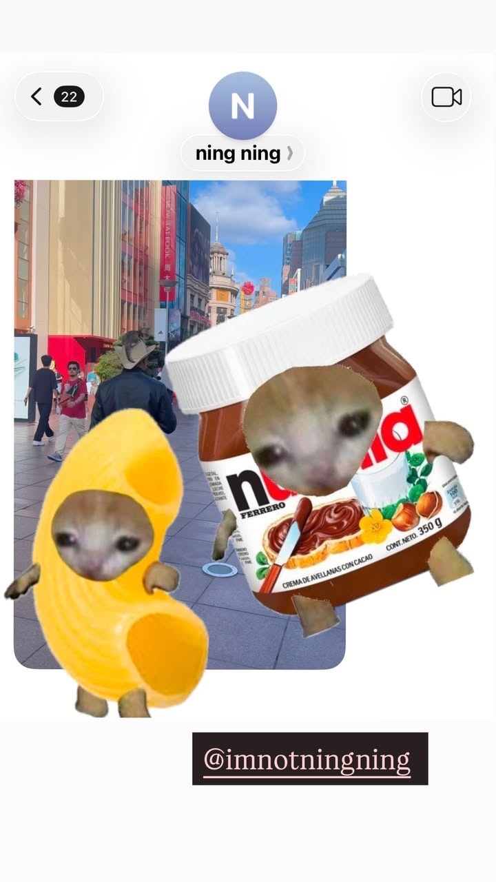 260121 imnotningning IG Story「lol meow」 