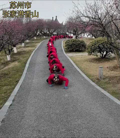 近日苏州，老年人们在张家港香山爬行锻炼，视频发布到网上后，引发网友热议。
网友：