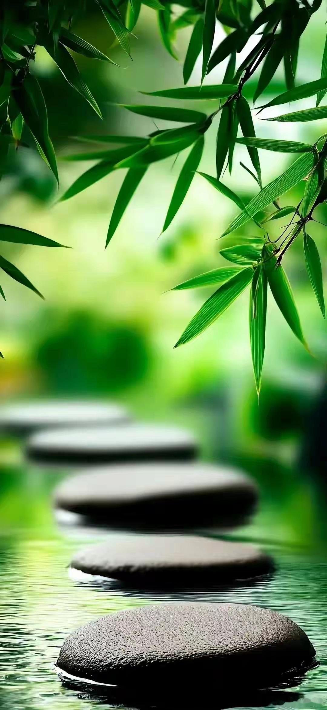 各位老铁早上好！