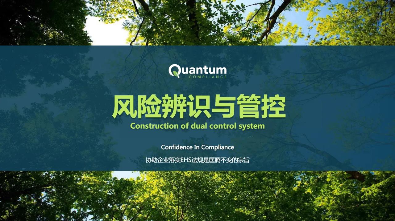 领导决策安全确实应该基于风险评估，而不是依赖冒险行为

以下是对这一观点的解释和