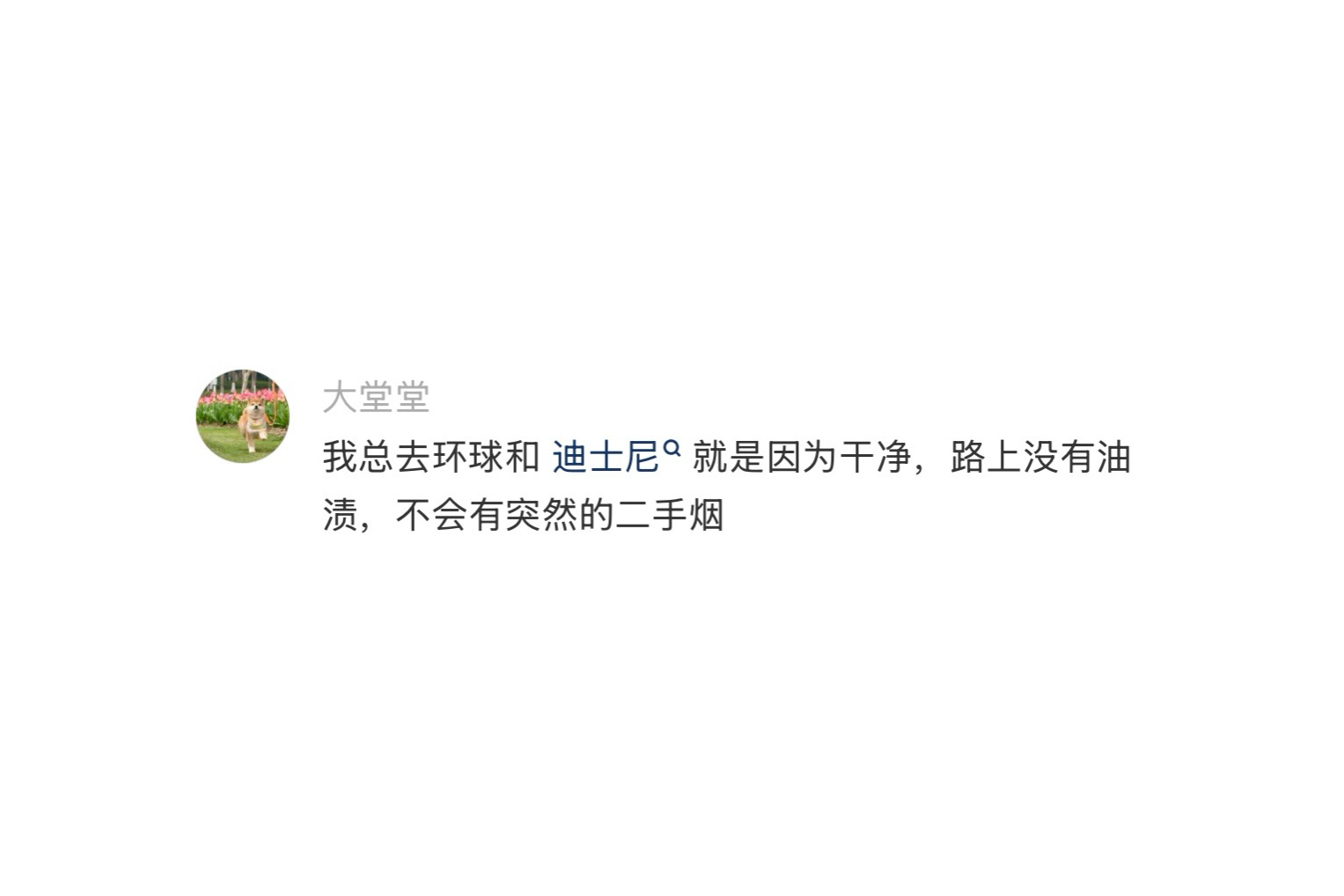 最影响旅行体验的是烟味 