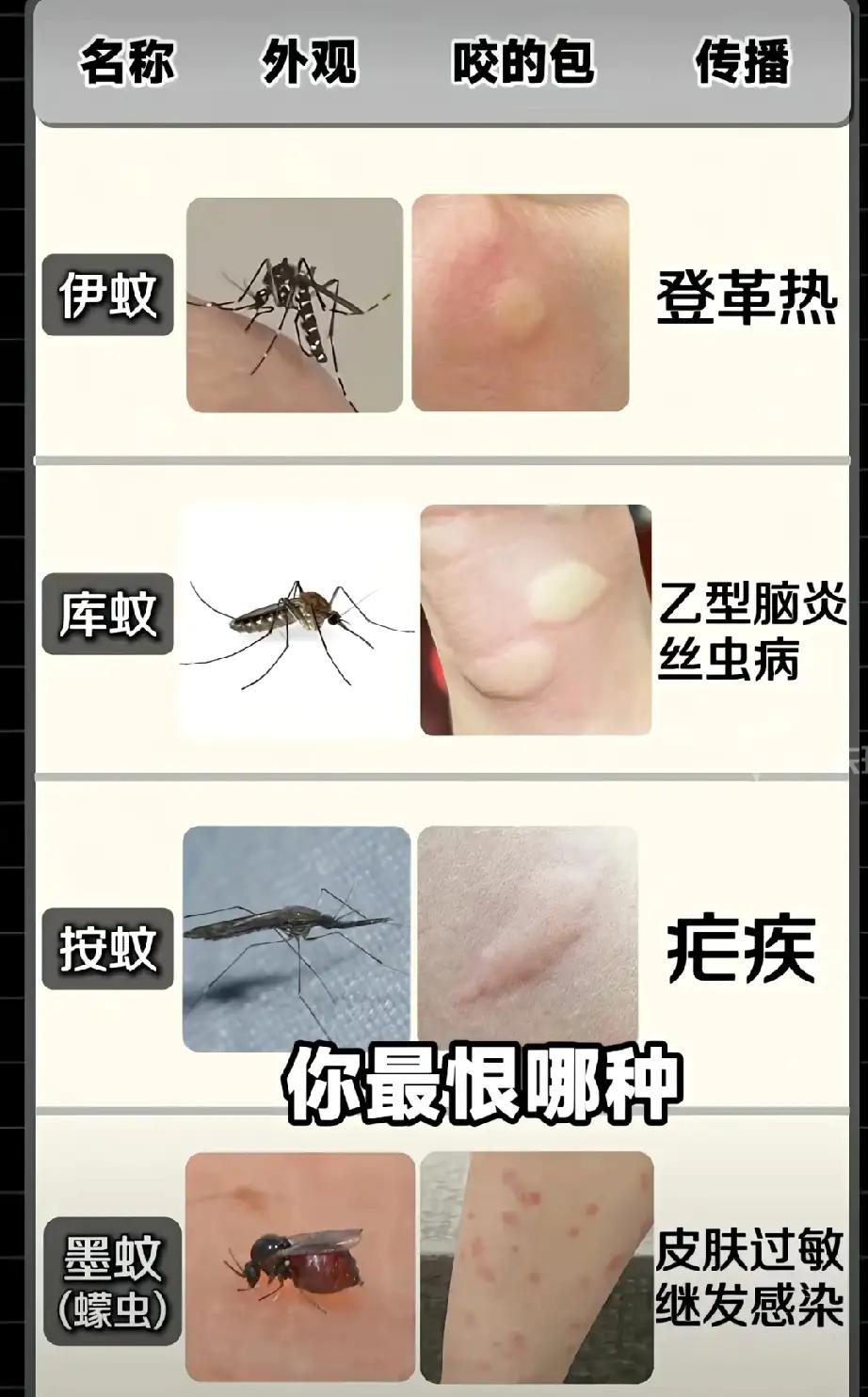 “今年蚊子史诗级加强”冲上热搜：你以为只是多几个包？它正在改写城市生存法则！
 