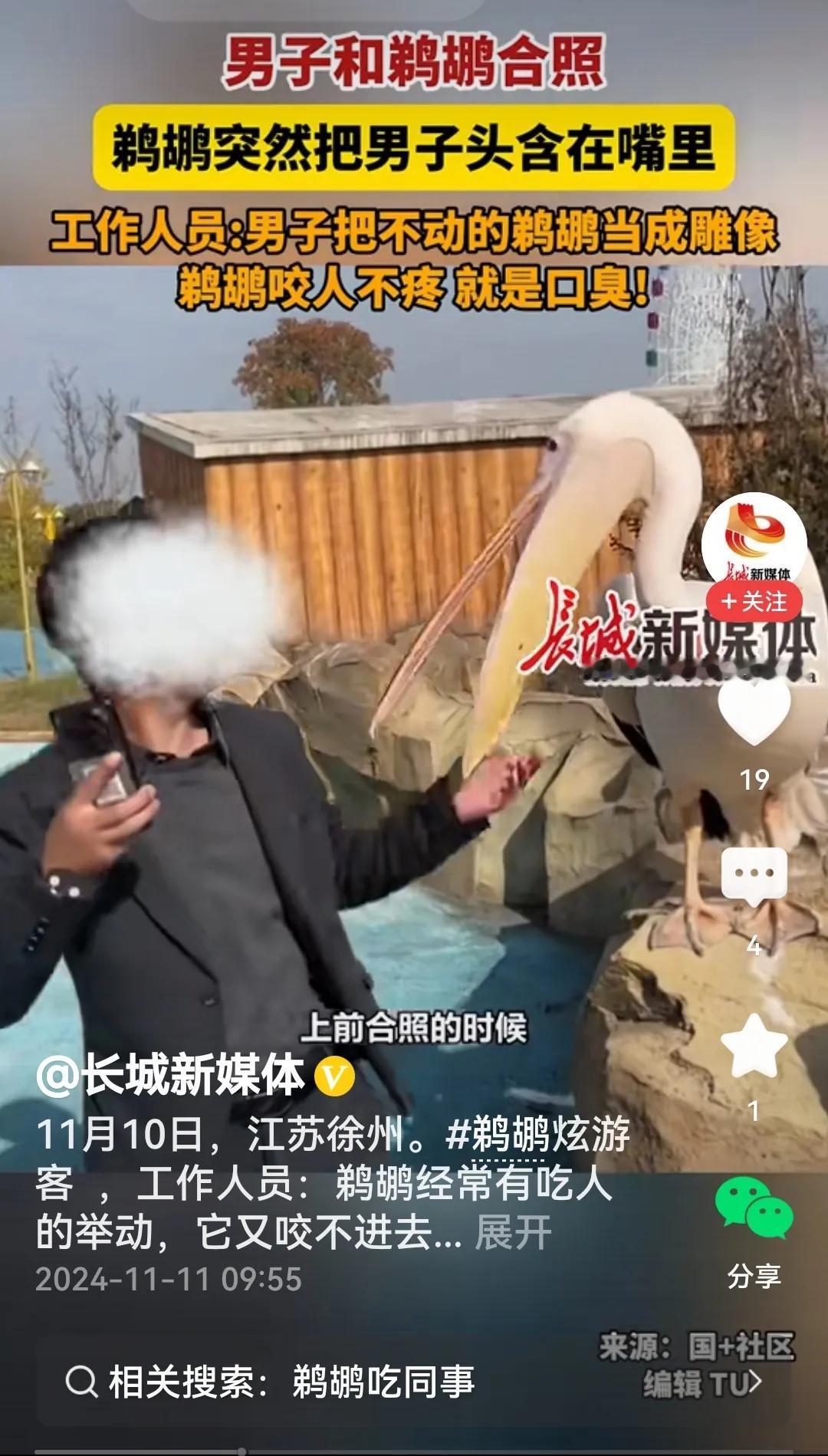 #鹈鹕“吃”游客逮哪咬哪#
看过视频颇有感触，凑几句送鹈鹕。
我是鹈鹕我嘴大，