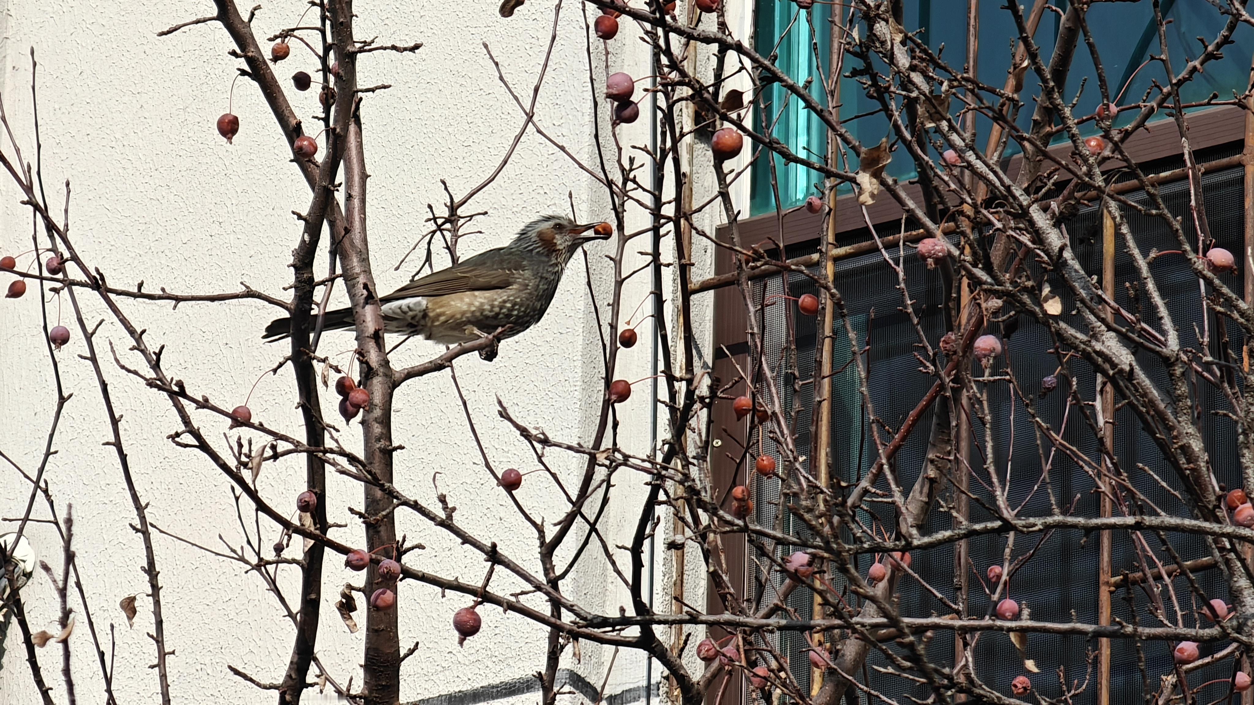 中午啦，吃个午饭吧。 