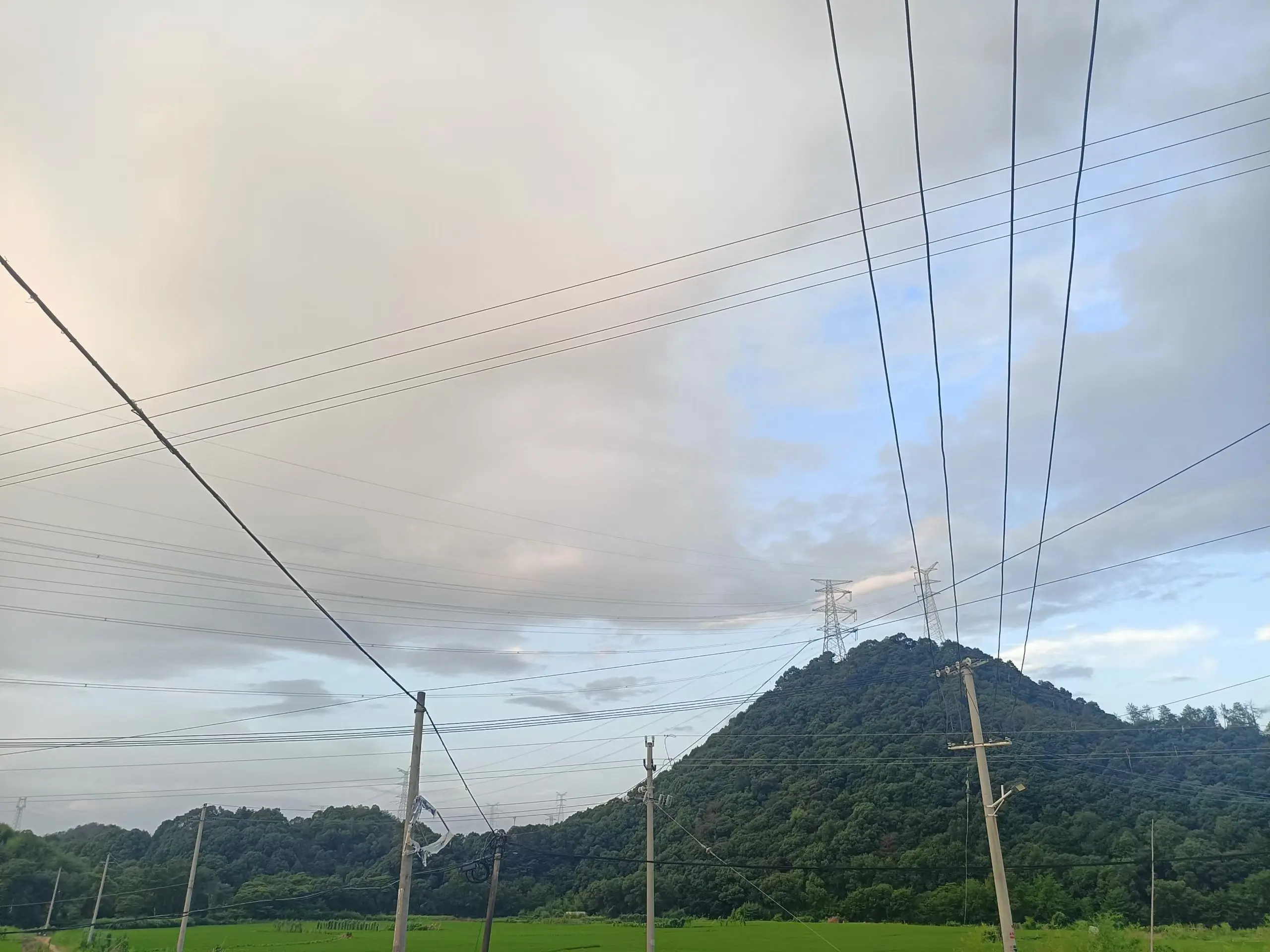 竹深树密虫鸣处，时有微凉不是风。