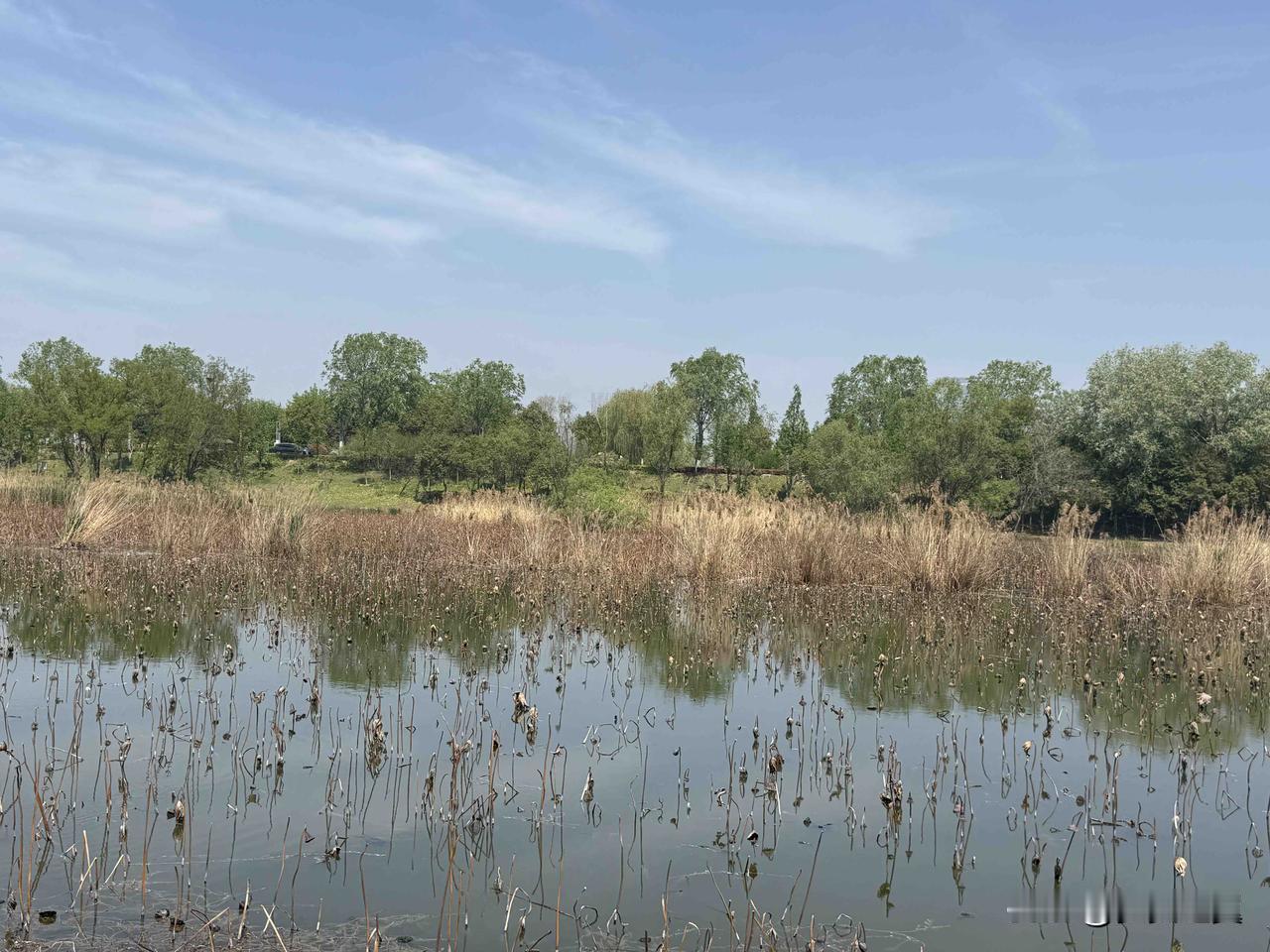 【小对联】
上：监控；
下：……？