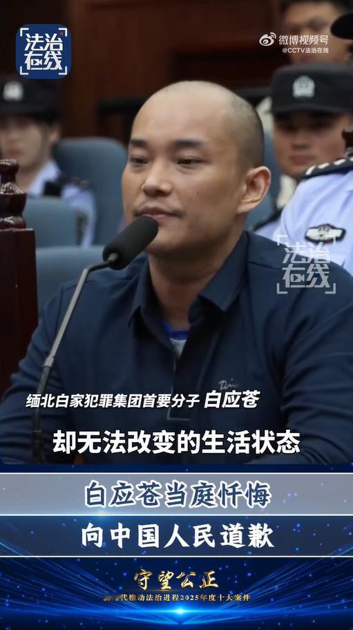 2月6日，白应苍当庭忏悔视频曝光，视频中，白应苍表示：“到现在我家也没了，故土也