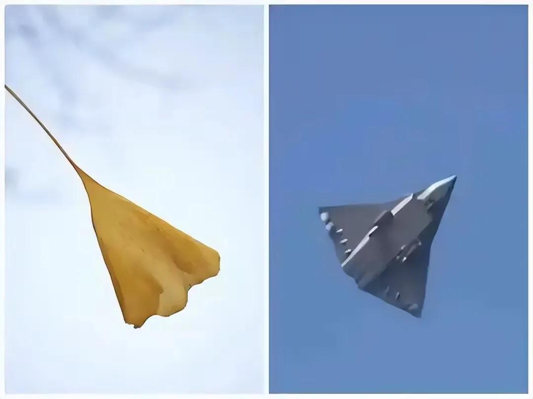 关于苏联，你想到的第一个词是什么解体