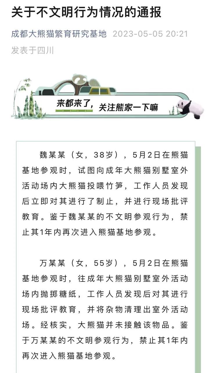 65 岁大妈将吃完的玉米芯扔给熊猫吃掉，景区终生禁止其入园参观。
人说小惩大诫，