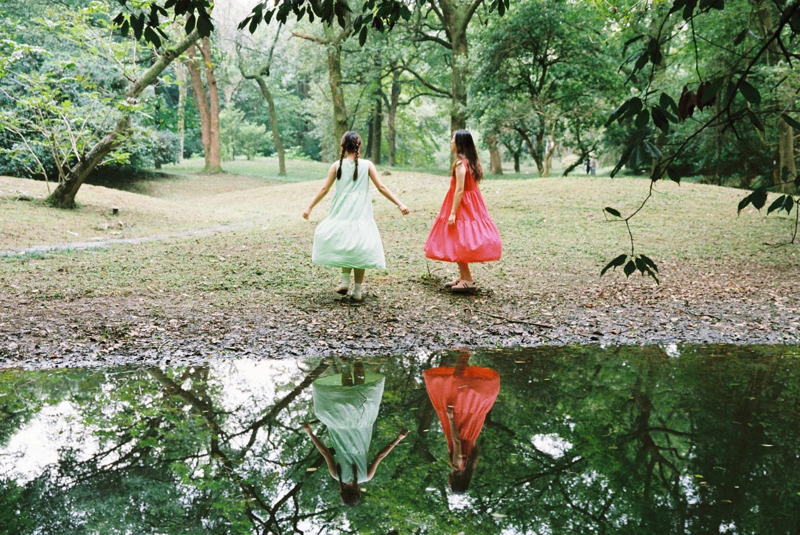 我的夏天像碳酸