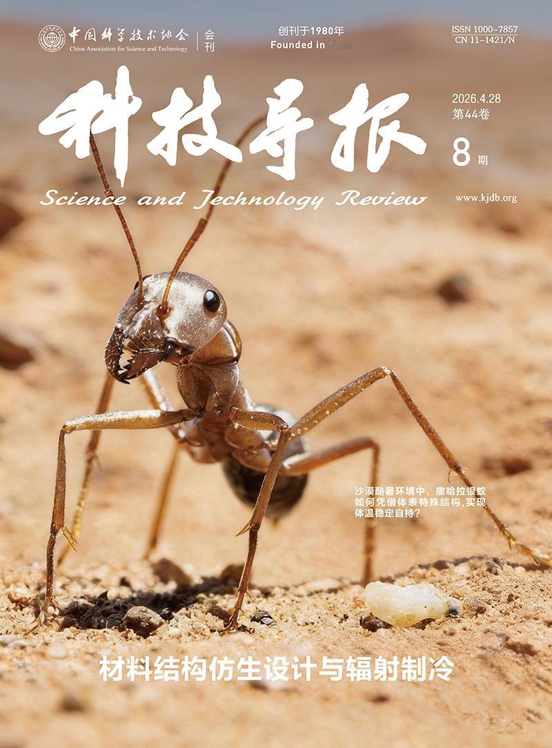 【新刊速览：材料结构仿生设计与辐射制冷 | 2026年第8期】《科技导报》202