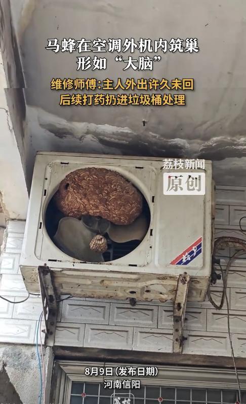 “太可怕了！”8月7日，河南信阳，一男子外出5年没回过家，到家后发现空调不好用了