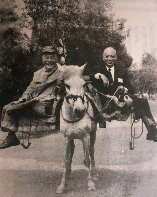 1986年，蒋经国乘车公务途中，因糖尿病并发症突发，导致腹泻失禁，车内侍从、司机
