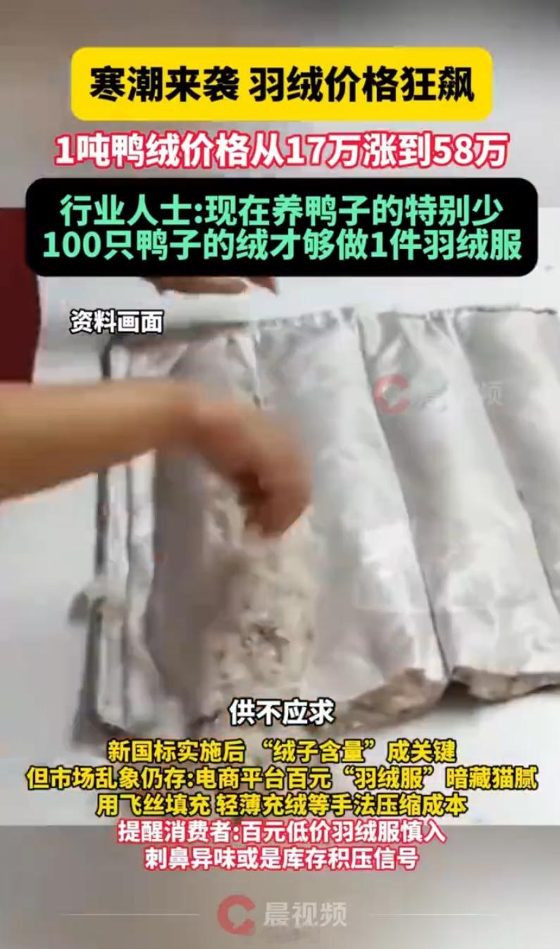 鸭绒涨价了？上个月还在说羽绒比去年低呢。你们今年都买新羽绒服了嘛 🥶