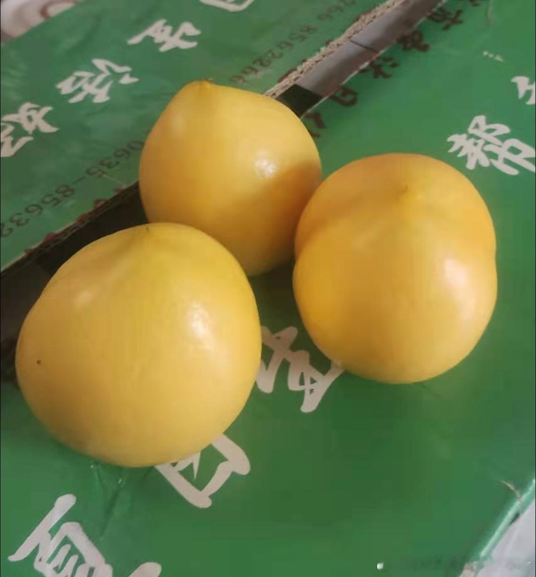 LH手机科技爱好者[超话] 蒙阴蜜桃甲天下，桃子逐渐成熟了。各位老板，如果合适的