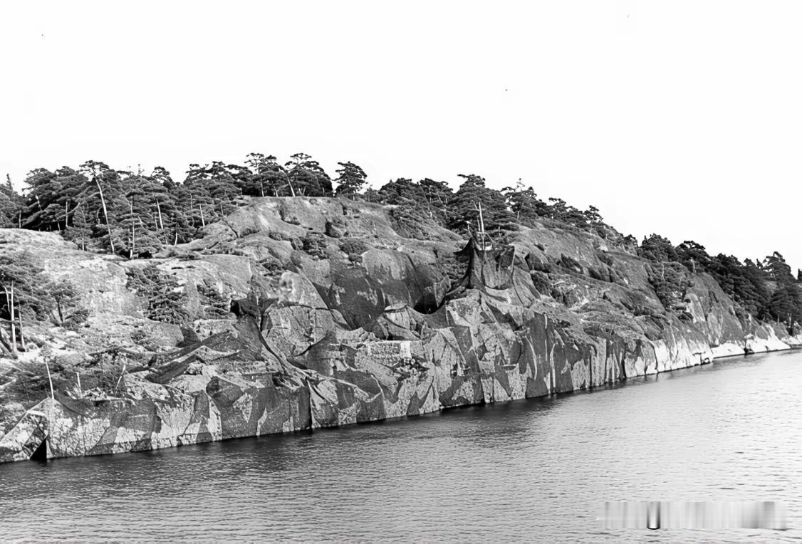 玩战术伪装，波兰还是很有点大刷子的。你们看看，好好看，再仔细看看。相信你绝对看不